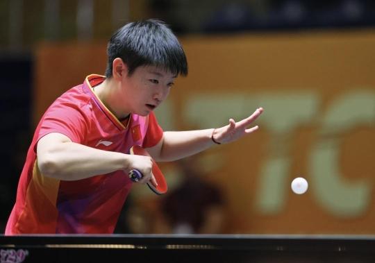 武术对练的 武术对练的