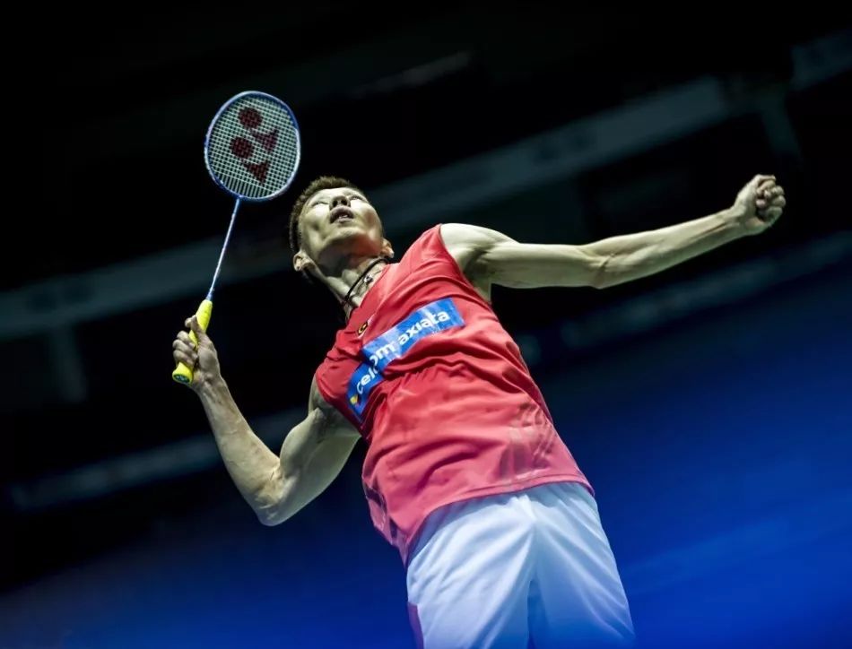 位于同类动 位于同类动